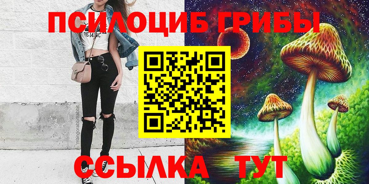 Жигулёвск  Галлюциногенные грибы мицелий  сколько стоит  Вход с VPN 